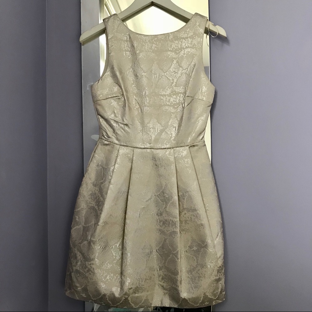 Zara XS ivory metallic shimmer dress